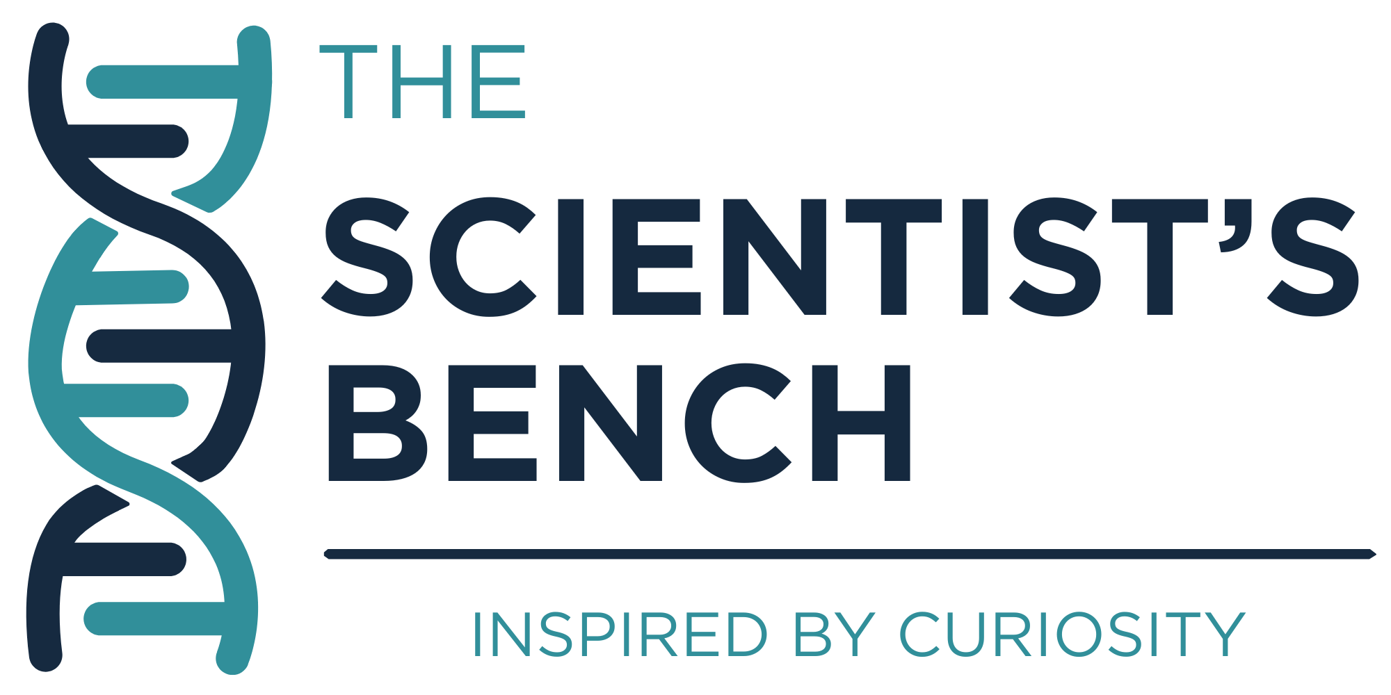 The Scientist's Bench